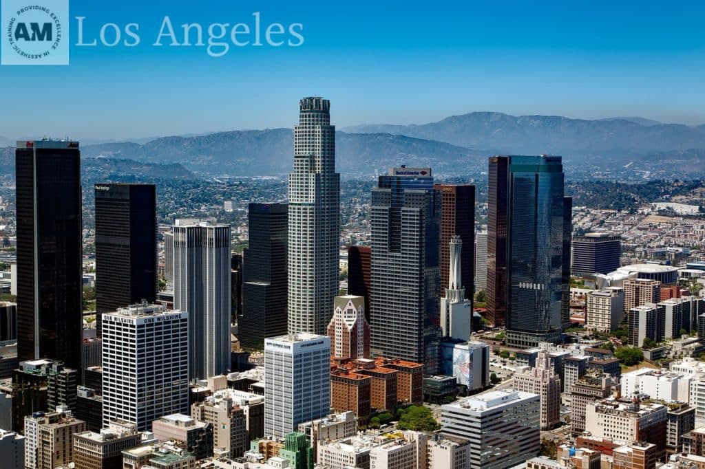 Los Angeles Botox and Dermal Filler Training